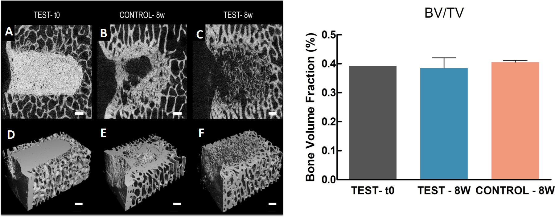 Figure comparative intégrale : micro-CT, reconstructions 3D et volume osseux relatif à l’implantation et à huit semaines.